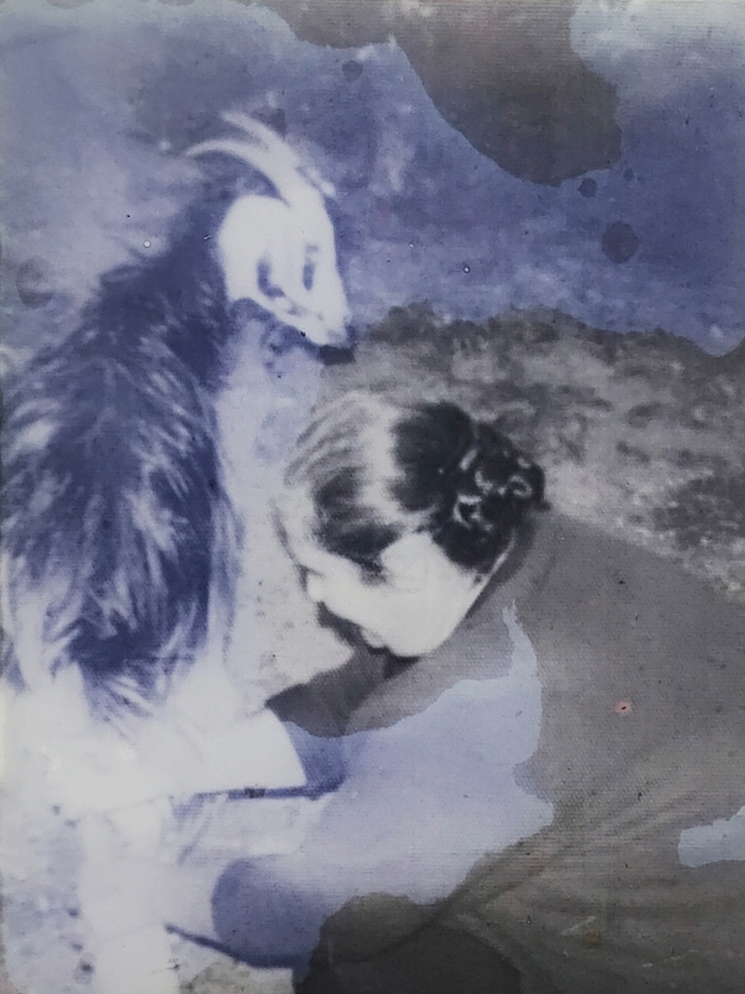 Foto_1