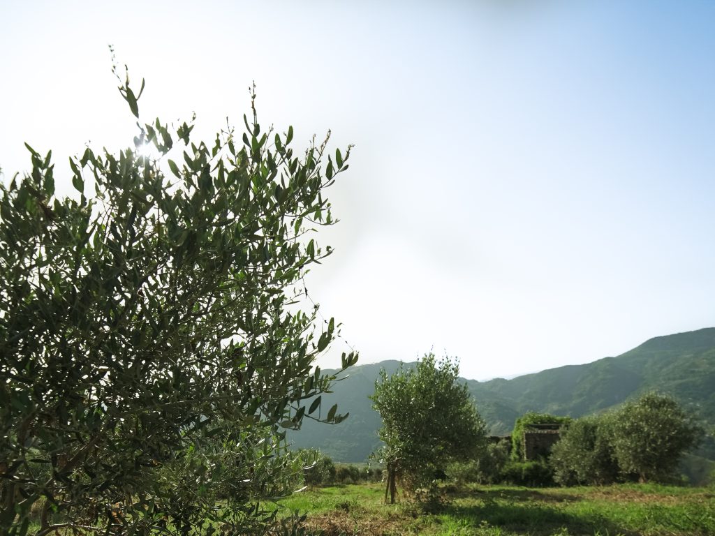 A7307675