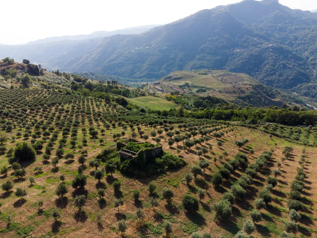 DJI_0016