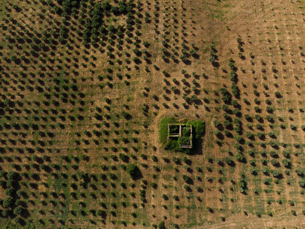 DJI_0017