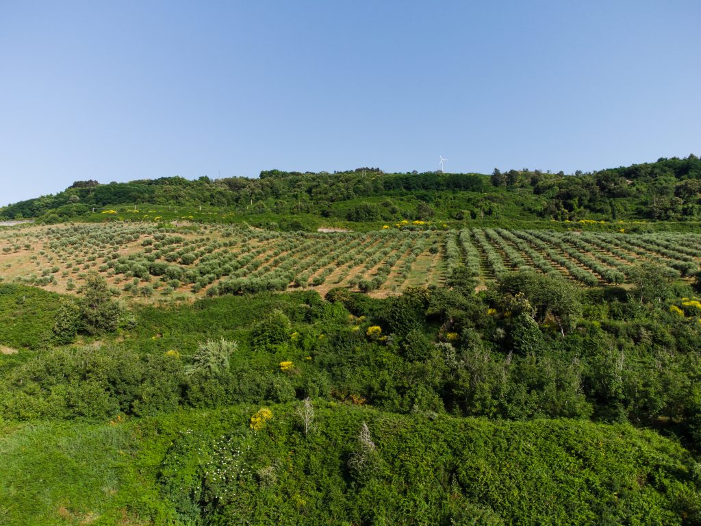 DJI_0018